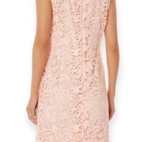 Ming Wang Floral Lace Sheath Dress Pink Size M NWT! - Picture 4 of 4